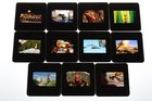 Antz - 11 Press Kit Slides Woody Allen Sharon Stone Sylvester Stallone J Lopez