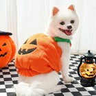 Pet Pumpkin Costume Halloween Christmas Funny Two-leg Outfit For Cat And Dog