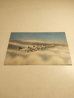 Vintage Wwii Ww2 Postcard Republic P-35 Airplanes In Formation Us Army Air Corps
