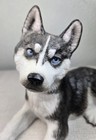 Lenox Siberian Husky Puppy Fine Porcelain Figurine Limited Edition 2001