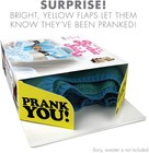 Prank-o Birthie Stick Gag Gift Box  Funny Fake Gift Box For Mother s Day   More