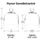 Plymor 5  X 6  Bell Jar Glass Display Dome Cloche  Interior Size 4 75  X 4 5 