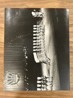 Lot Of 2 Vintage Rockettes Chorus Line Photographs 8x10 B w Photos Radio City