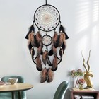 Dream Catcher With Luminous Beads Native American Dream Catchers For Adults H  