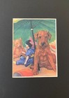 Irish Terrier - Matted   Framed   Ready To Gift - New Dog Art Print
