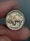 1938- D Buffalo Nickel Bu