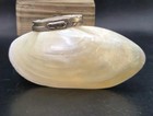 Antique 19th Century Mother Of Pearl Shell   White Metal Snuff Box Free Shipping