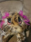Ooak Artist Bear  Cat Leopard Print 