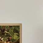 1939 Green Hell Original 11x14    Lobby Card Joan Bennett Douglas Fairbanks