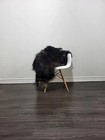Icelandic Sheepskin Rug   Sheepskin Rug  Soft Silky Long Wool  c113