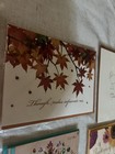 Papyrus Lot Of 9 Greeting Cards Thanksgiving 3d Sparkle Leaves  Give Thanks New
