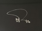 Trey Anastasio Signed Drumhead Phish Remo Autographed Beckett Coa