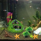Aquarium Decor Kit Hobbit House W  Plants   Starfish Fish Tank Decorations