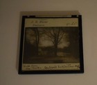 Magic Lantern Slide 1904 Bradford Exhibition Photo No15 Lake From The Mall