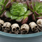 20  Mini Skulls Figurine Skeleton Head Miniatures For Halloween Accessories