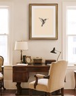 Viyyiea Gold Framed Elegant Hummingbird Sketch Canvas Wall Art  Vintage Natur   