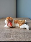 Ty Beanie Babies Sampson The Dog 2001 10th Generation Retired W  Error