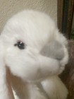 Animal Alley Realistic White Lop-ear Bunny Rabbit 10  Plush  Toys R Us 2017