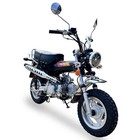 New Champion 125 Lx Mini Motorcycle Trail Bike Semi Automatic 4-speed Free Ship