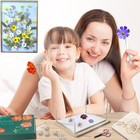 Professional Flower Press  8 Layers 6 3x8 3 Inch  16x21cm  Wooden Flower Pres   