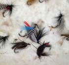 Companion To Alfred Ronald s Fly Fisher s Entomology   Fishing Flies  1862 Text