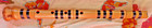 Zen Traditional Shakuhachi Pentatonic End-blown Flute With Natura Bell Root 
