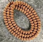 Rare 9 Mukhi Rudraksha Mala   Rare Durga Shakti Mala     109 Beads