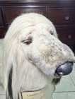 Vintage Life Size Afghan Hound Dog W  Coa   Tag  138 High Quality 44   l Rare