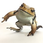 Nature Techni Colour Figure  Magnet Japanese Common Toad Larva Spawn Set