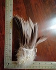 Xl Bronze Mallard Bundle  X-select 