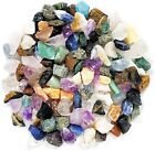 Rock Collection For Kids  Includes 250  Gemstones  Crystals  Rocks And More