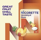 Fast          Nicorette Nicotine Gum Stop Smoking Aid 2 Mg  Fruit Chill 200 Count