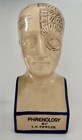 Phrenology By Ln Fowler 13  Ceramic Head bust  Antique Off Crackle Glaze