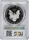 1994-p American Silver Eagle Dollar Pr69dcam Pcgs Proof 69 Deep Cameo