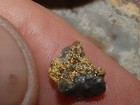 California Blue Gold Specimen  73 Gram Gold And Quartz