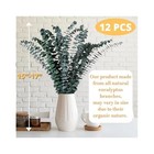 12 Eucalyptus Stems  17  Shower Bundle  Real Greenery For Spa Experience