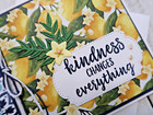 Stampin  Up  Card Kit - Citrus Blooms - All Inclusive Set Of 6 Cards