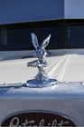 Shotgun Bunny Hood Ornament Semitruck Universal Peterbilt Freightliner Kenworth 