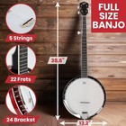 Pyle 5-string Banjo W  White Pearl Color Plastic Tune Pegs  redburst 