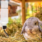 1pcs Bunny Water Dispenser All Weather 350ml Hamster Water Bottle