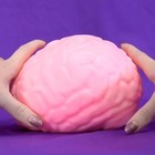 Large Brain Squishy Stress Relief Ball Sensory Fidget Toy Fun Gift 3 