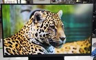 Razer Raptor 27  Gaming Monitor Wqhd  2560  1440 