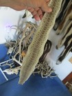 Rattlesnake Skin Prairie Rattle Snake Hide Dry Tanned Wrap Pen Blanks 31 In  C1