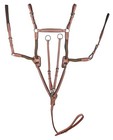 Nwt Cob Laureate By Henri De Rivel Raised Fancy 5 Point Breastplate W running
