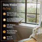 The Fly Inn   Sticky Window Traps   Indoor Insect Trap   Catches And Hides Bugs