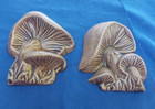 Ceramic Mushrooms Wall Hanging Decor 1970 s Browns Beige 4 5  Tall  Mcm