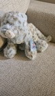 Ganz Webkinz Icy Mist Leopard Hm696 Brand New With Sealed Code