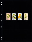  1 60 Scott Value  - 1981 Samoa Flowers South Pacific Ocean Cv Mnh Nh Umm