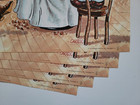  lot Of 5  Vtg 1980s Beer Posters Genesee Cream Rochester Ny Budweiser Ale Mint