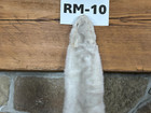 Xxl Select Ranch Mink Pelt  Commercial Garment Tanned